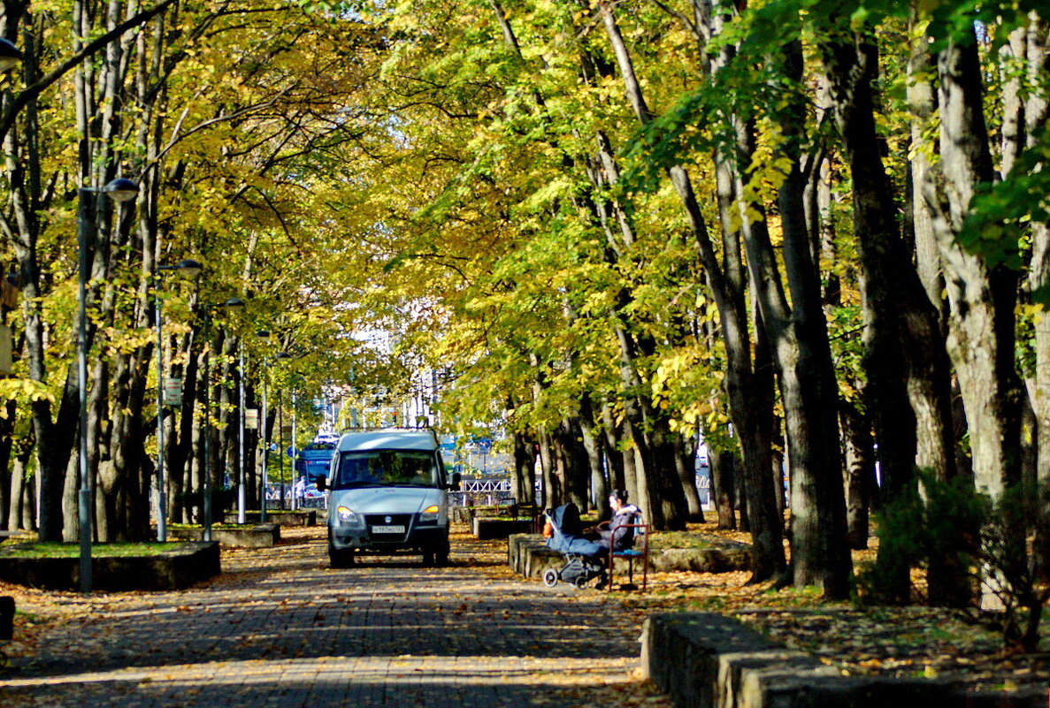 В парке... - Николай Саржанов