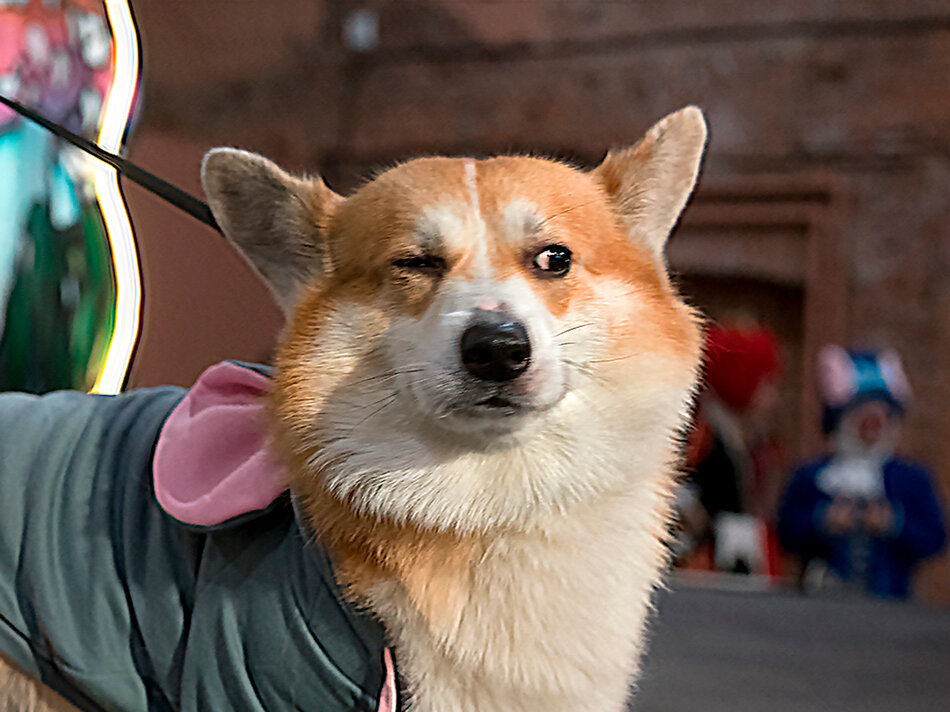 Подозрительный - Алексей Смирнов