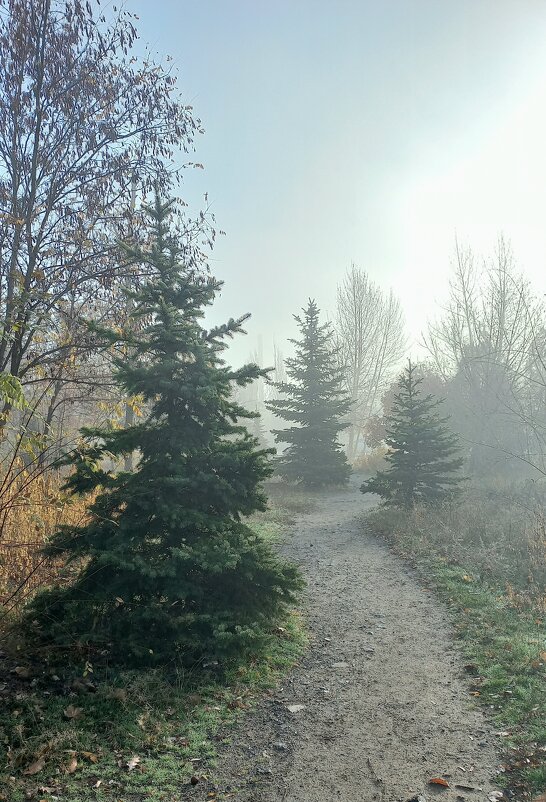 Туманное утро - Tina Kott