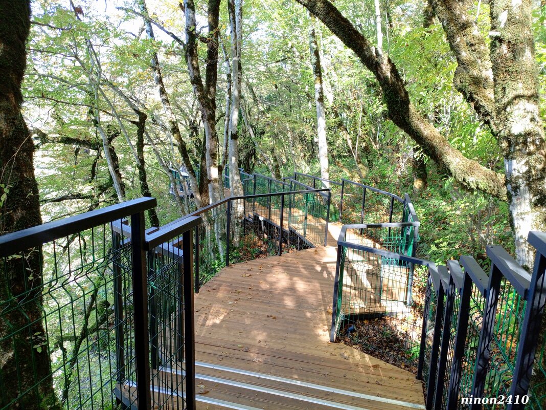 Адлер. Скайпарк - Нина Бутко