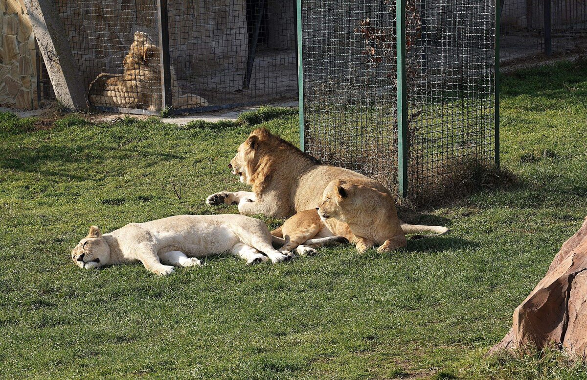 В парке Тайган - Татьяна Тюменка