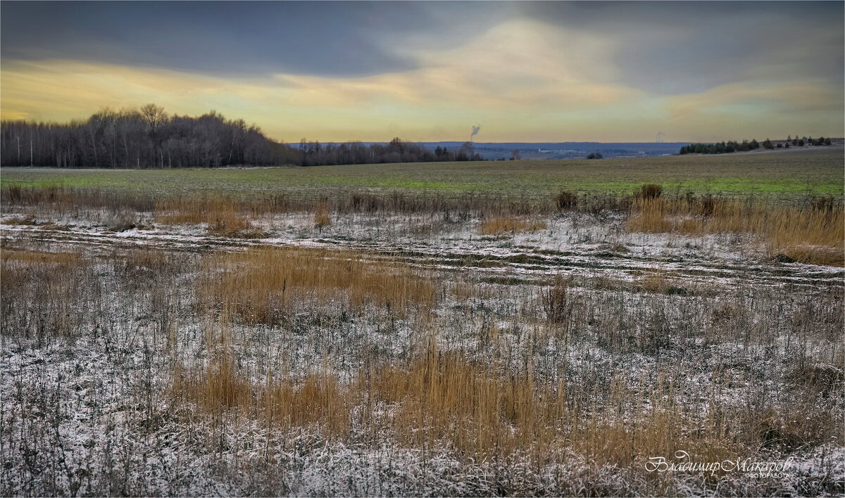 "Озимые в предзимье. Колея"© - Владимир Макаров