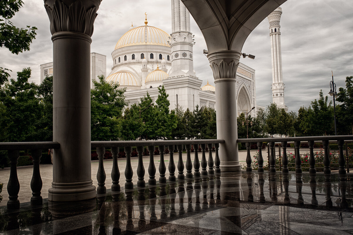 Шали - Лилия .