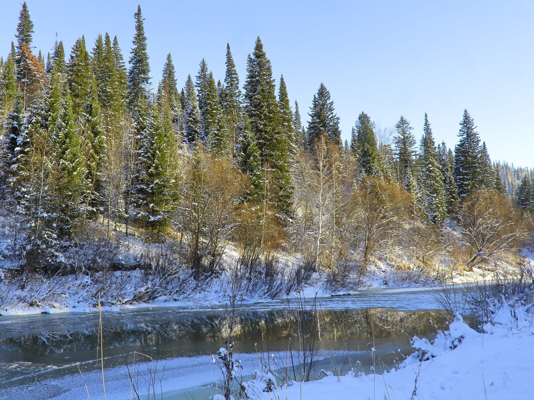 Таежный пейзаж - Нина северянка
