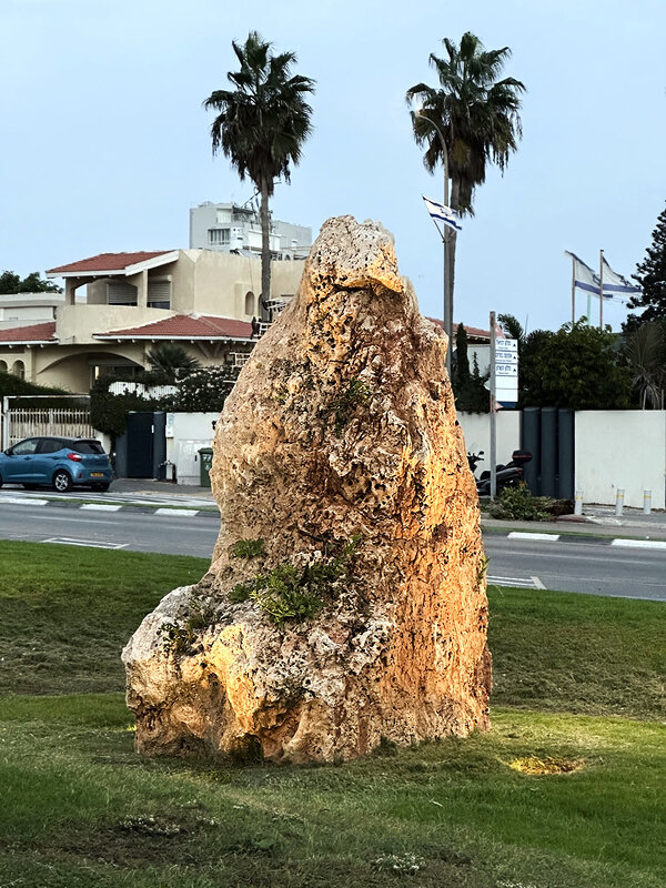 ПРИРОДНАЯ   СКУЛЬПТУРА - Анатолий Малобродский