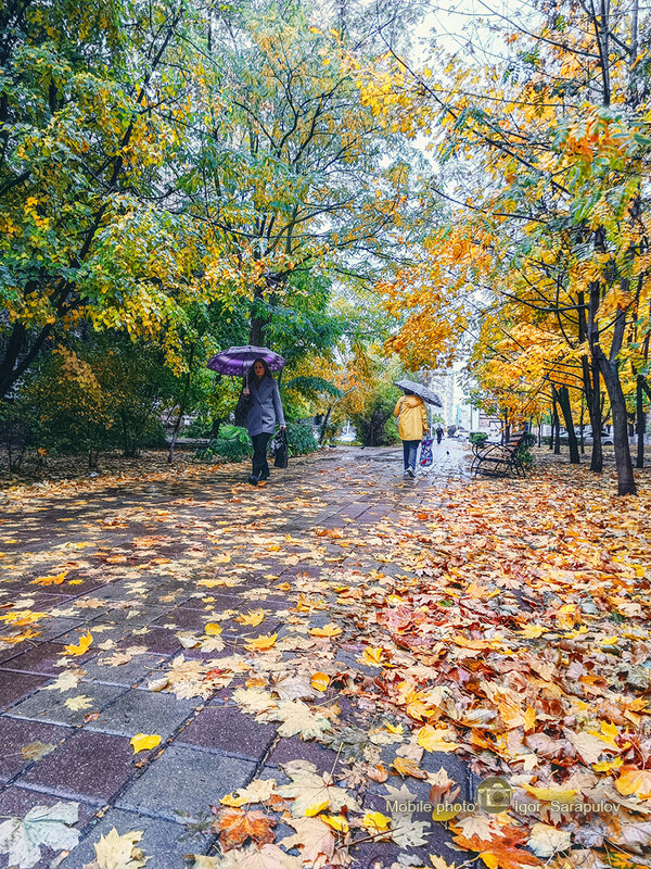 Осенний тротуар - Игорь Сарапулов