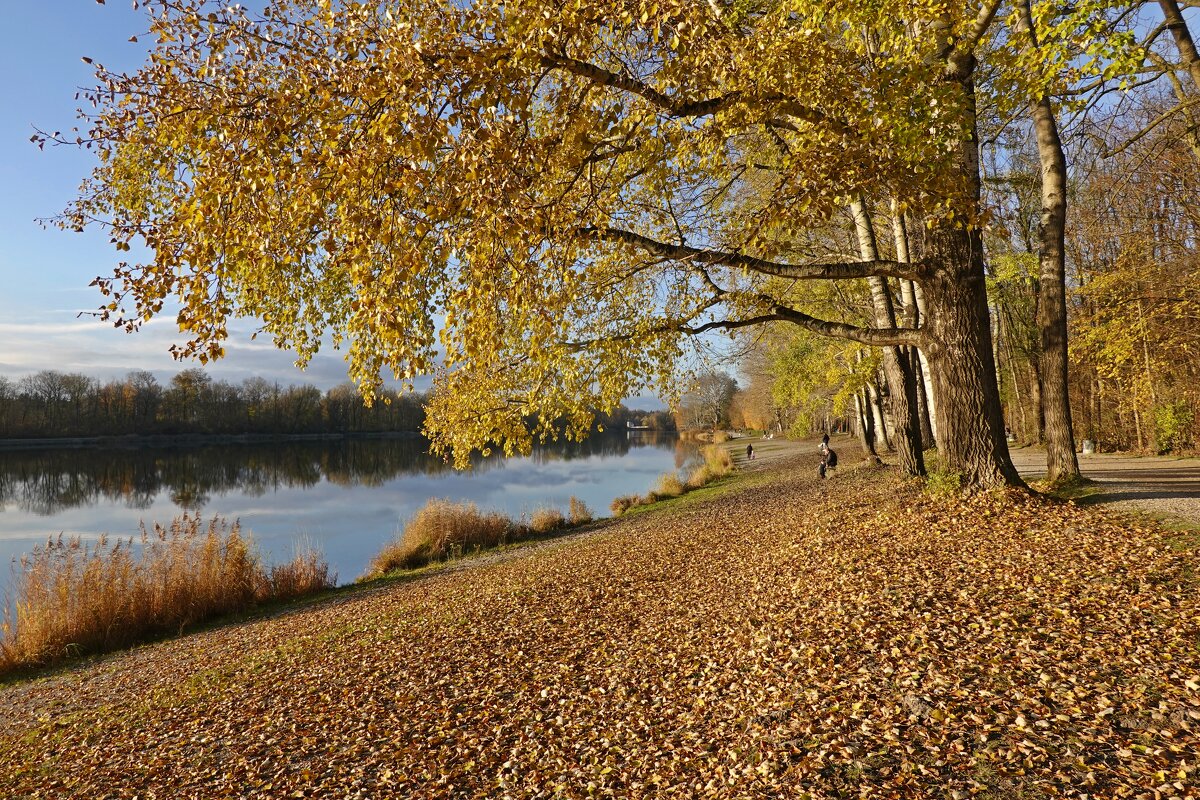 Музыка осени - это шум дождя, шелест падающих листьев... - Галина 