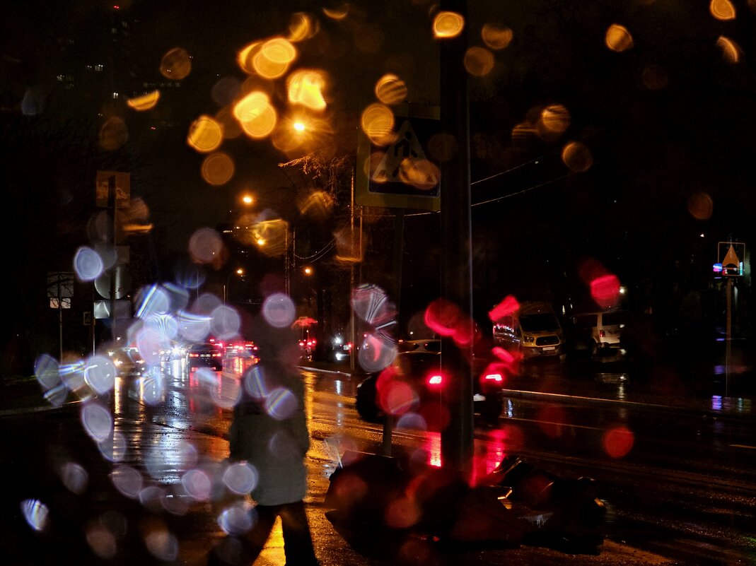 Дождливая погода - Мария Яковлева