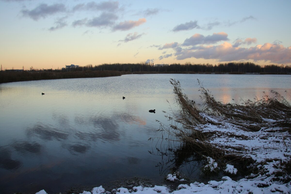Парк Героев-пожарных. Ноябрь - Наталья Герасимова