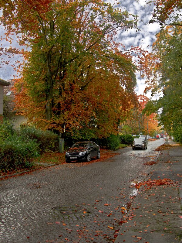 На улице Ленинградской - Сергей Карачин