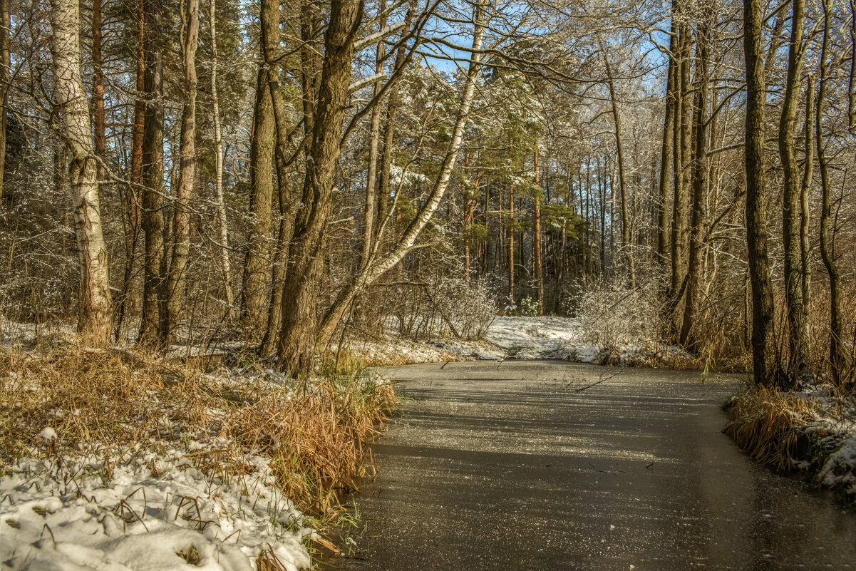 Предзимье. - Николай Предзимье. - Николай
