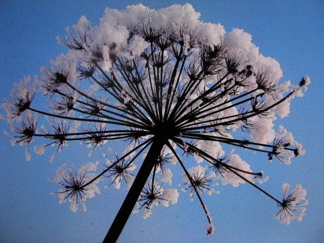 Во всей красе - Людмила Смородинская