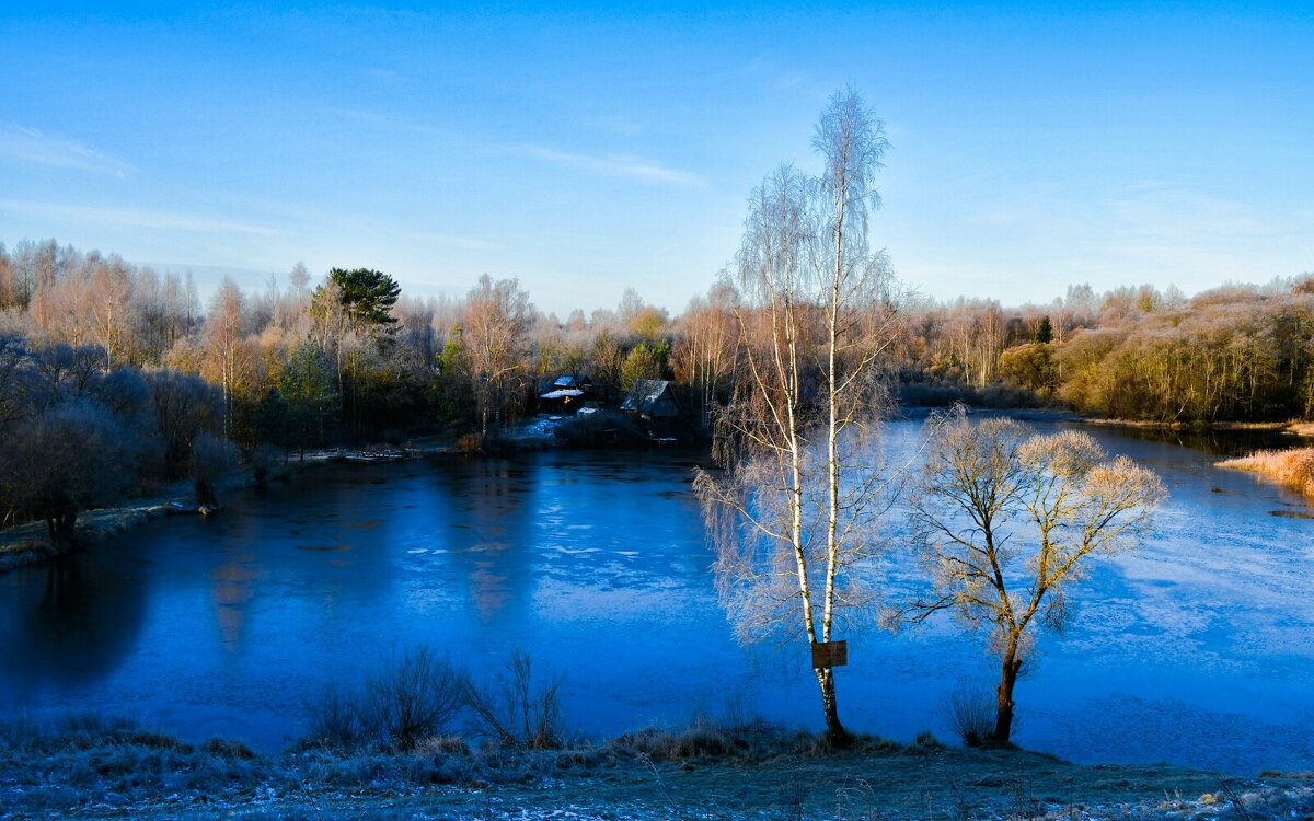 Природа в середине ноября (репортаж из поездок по области). - Милешкин Владимир Алексеевич 