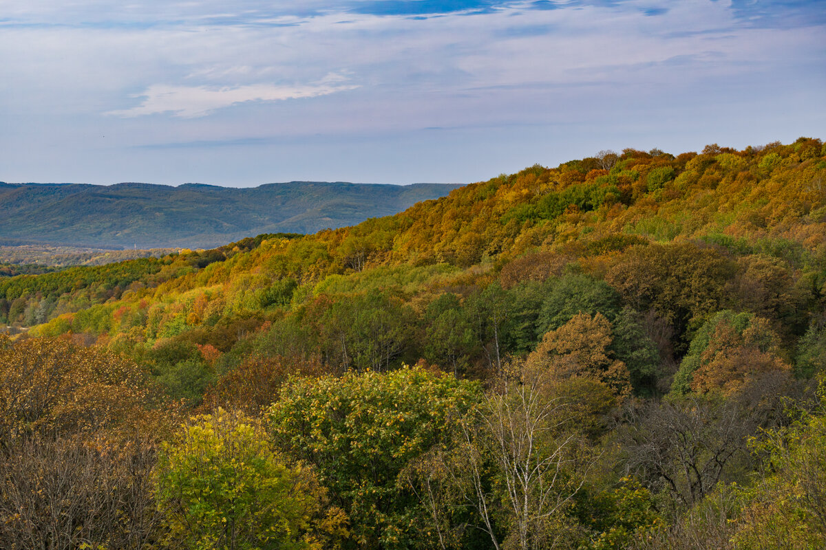 18 октября 2025 Адыгея - Игорь Сикорский