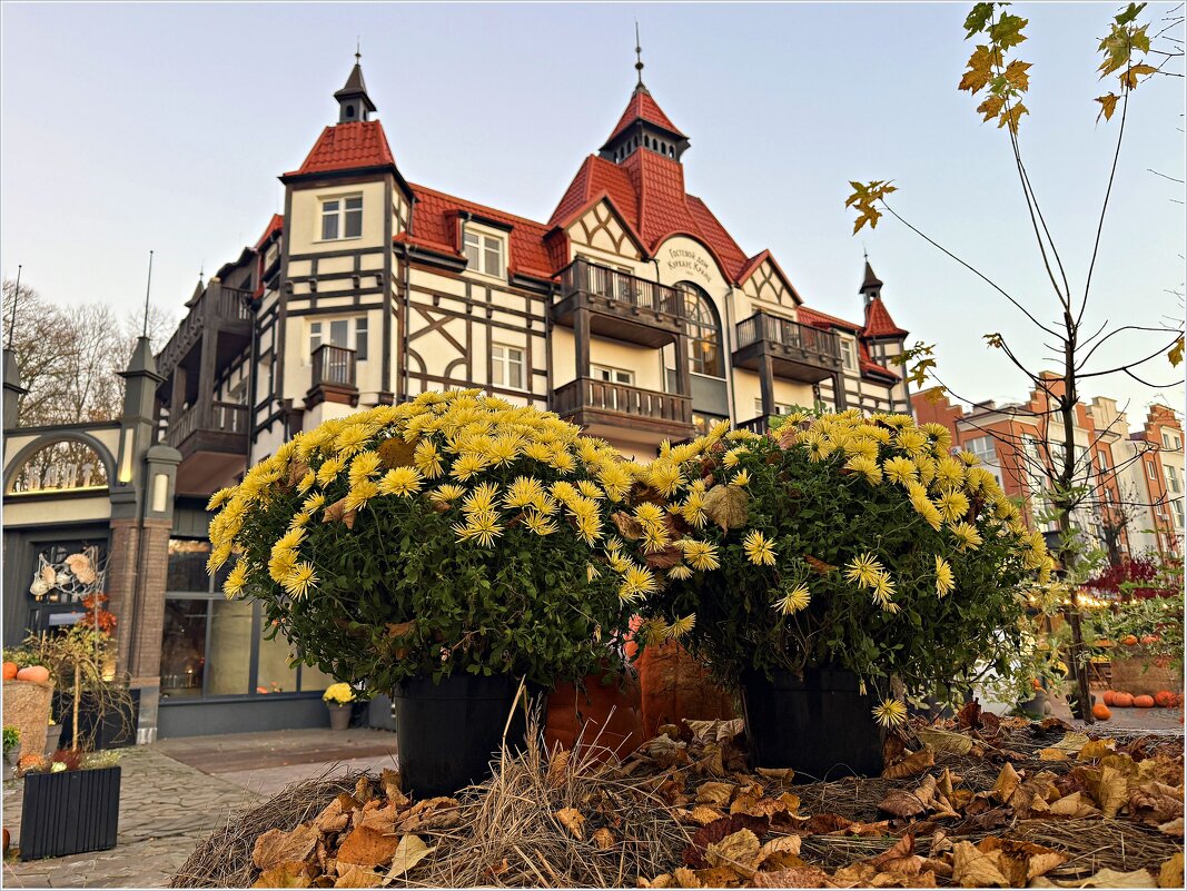 Утро осеннего города. - Валерия Комова