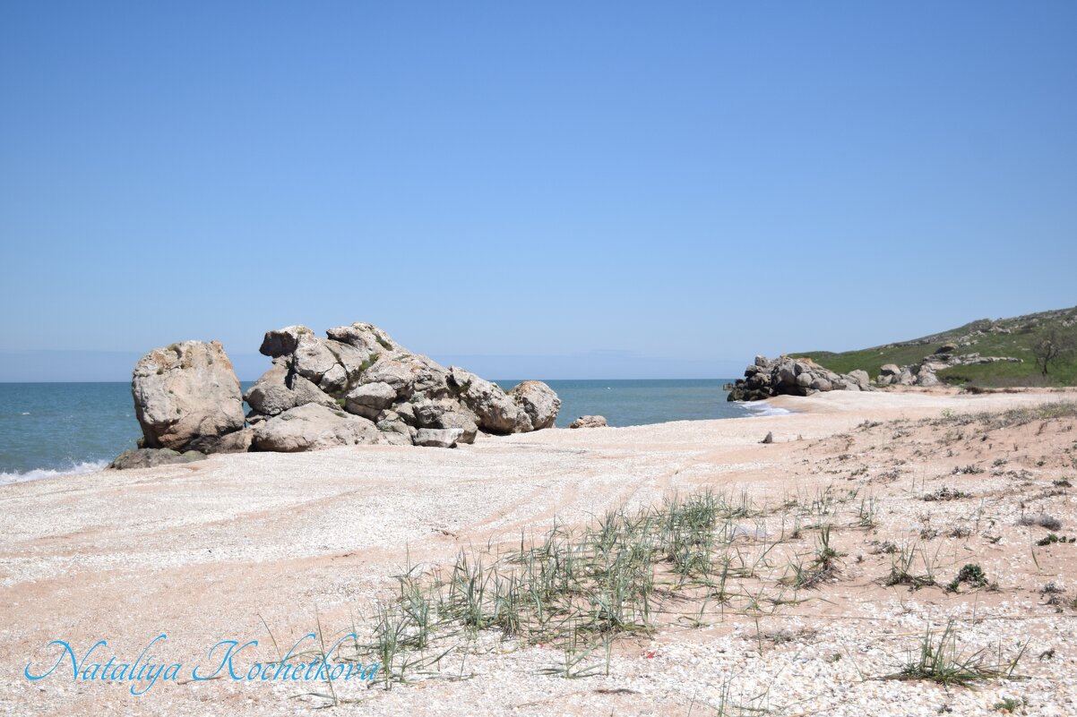 Природа Крыма - Amazing Cosmea