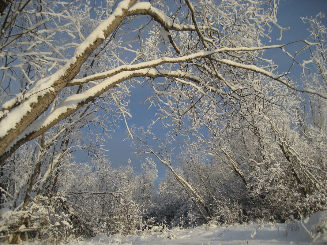 Зима - Anna Ivanova