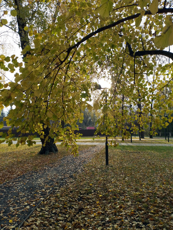 *** - Валентина Береснева