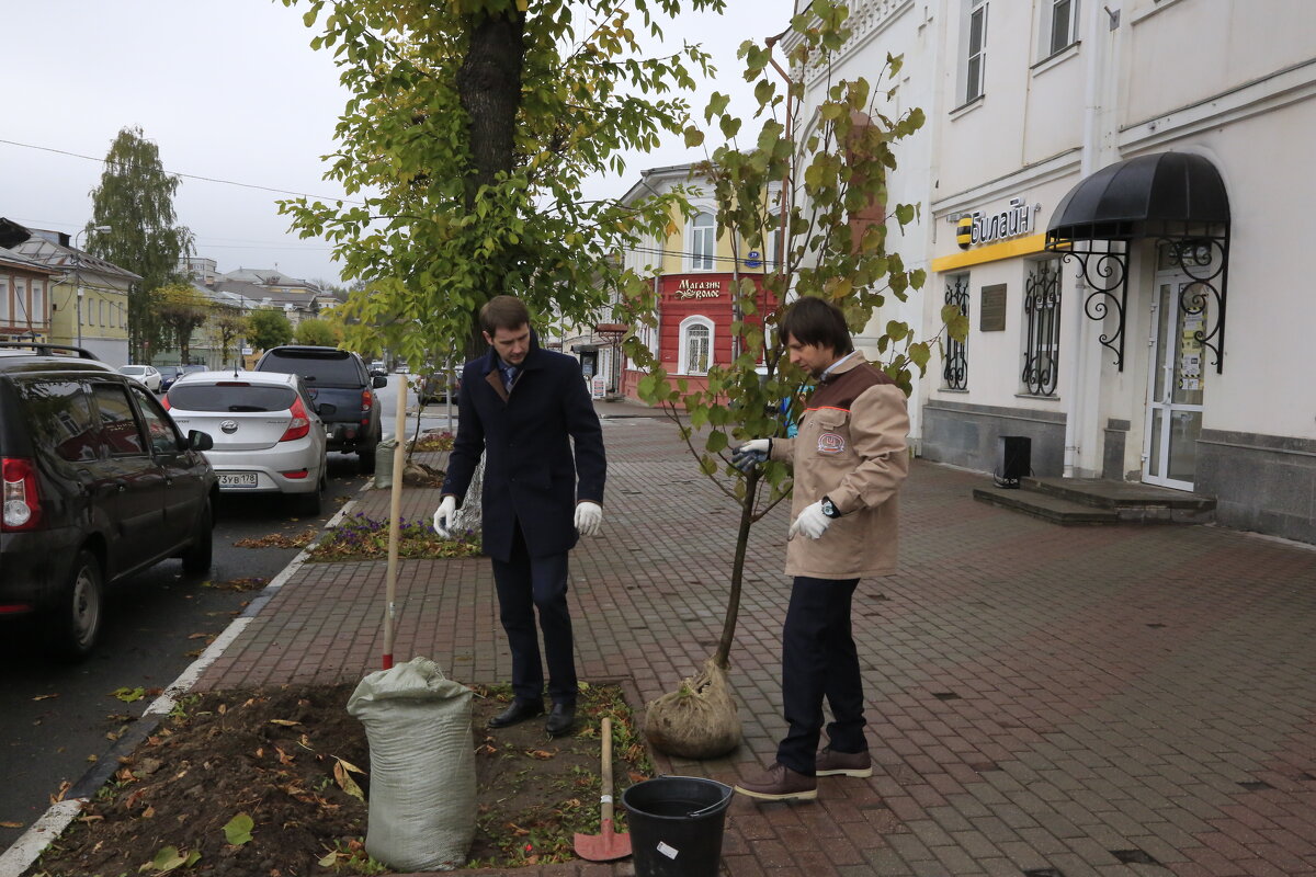 Субботник - Александр Силинский