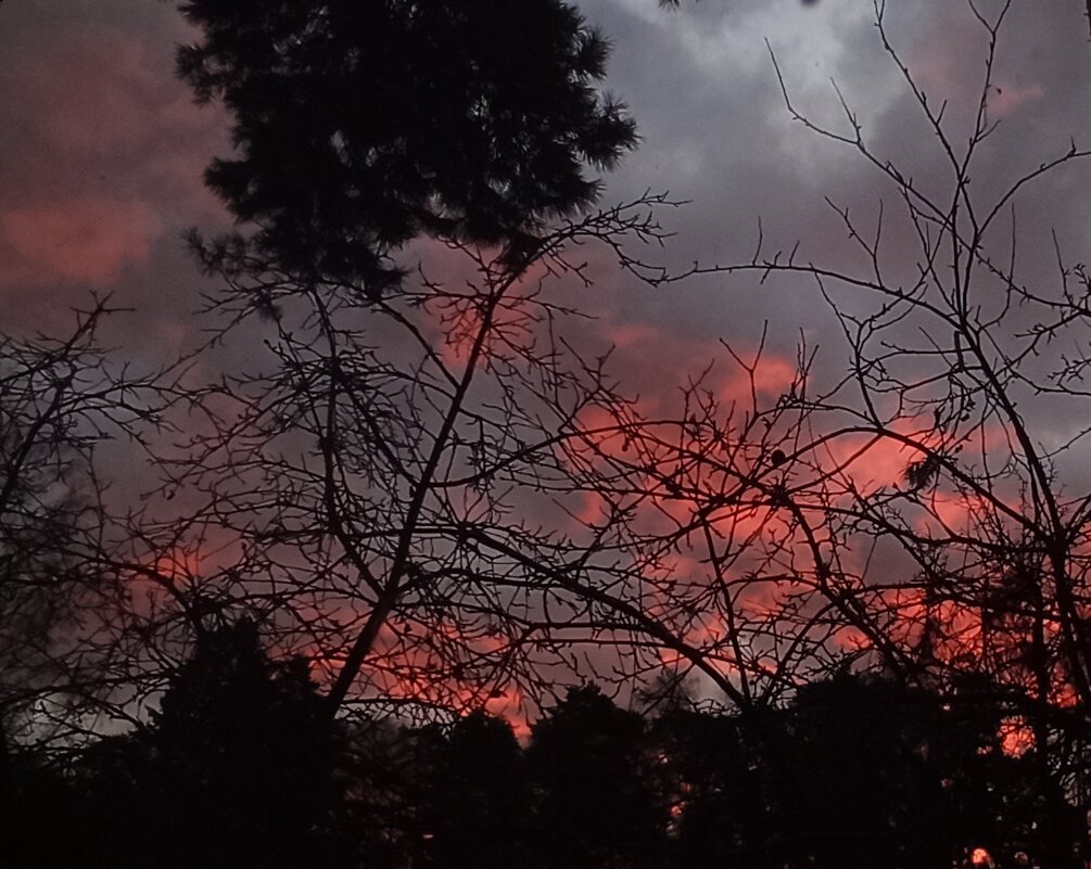 8 часов утра... - veilins veilins