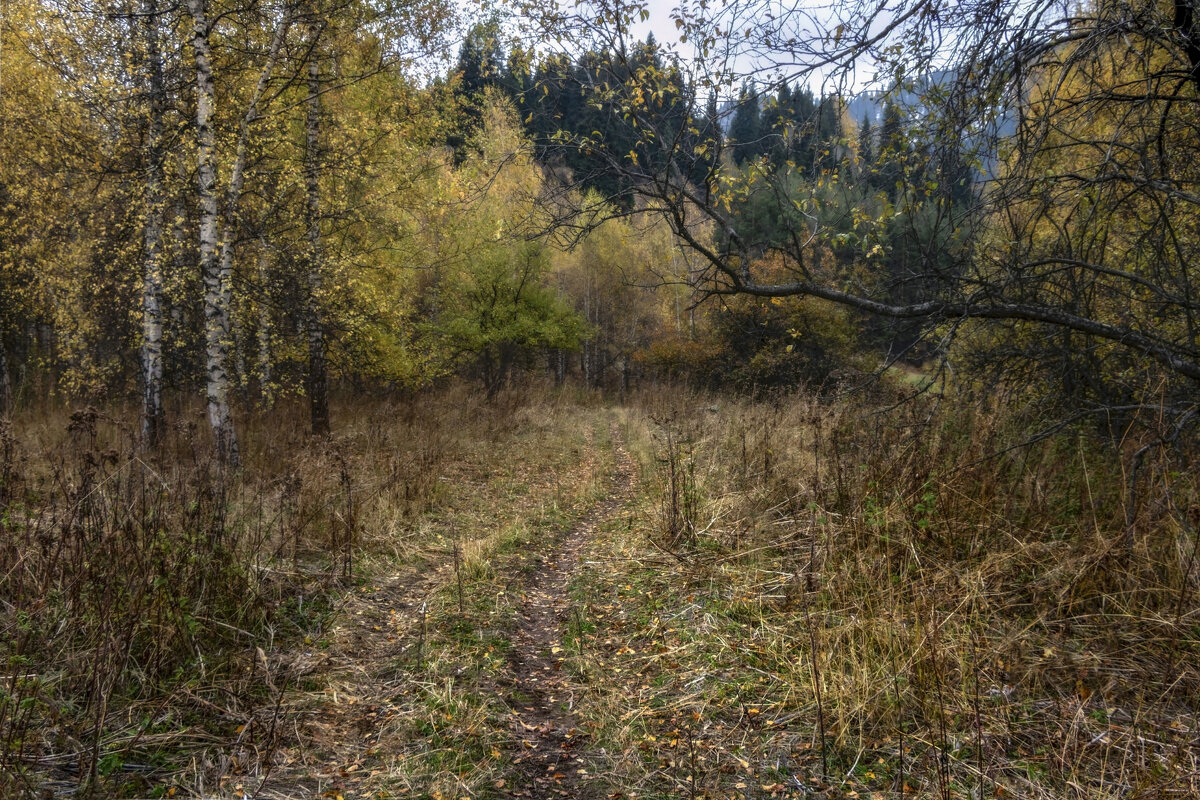 По заброшенной дороге - LudMila По заброшенной дороге - LudMila