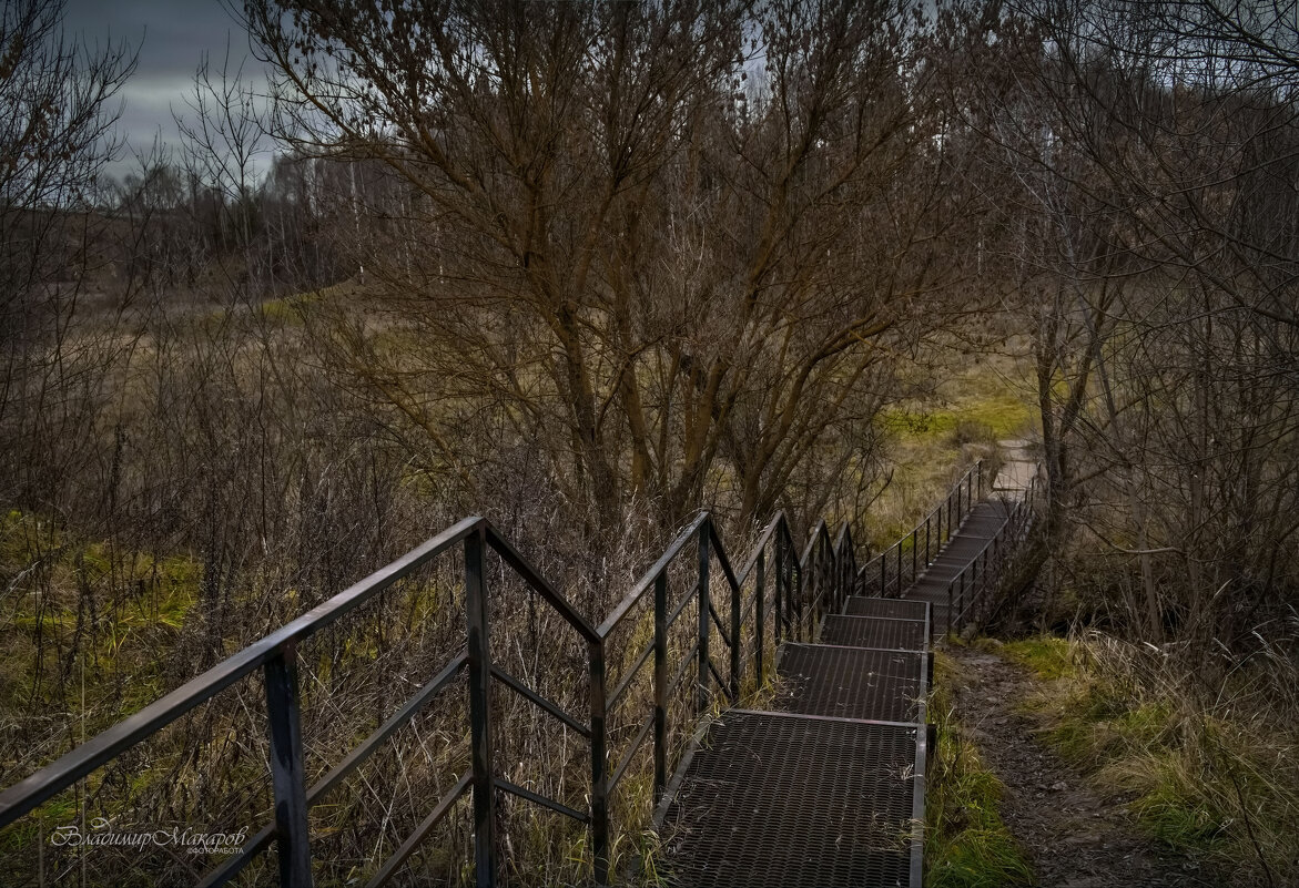 "По лестнице в ноябрьскую осень"© - Владимир Макаров "По лестнице в ноябрьскую осень"© - Владимир Макаров
