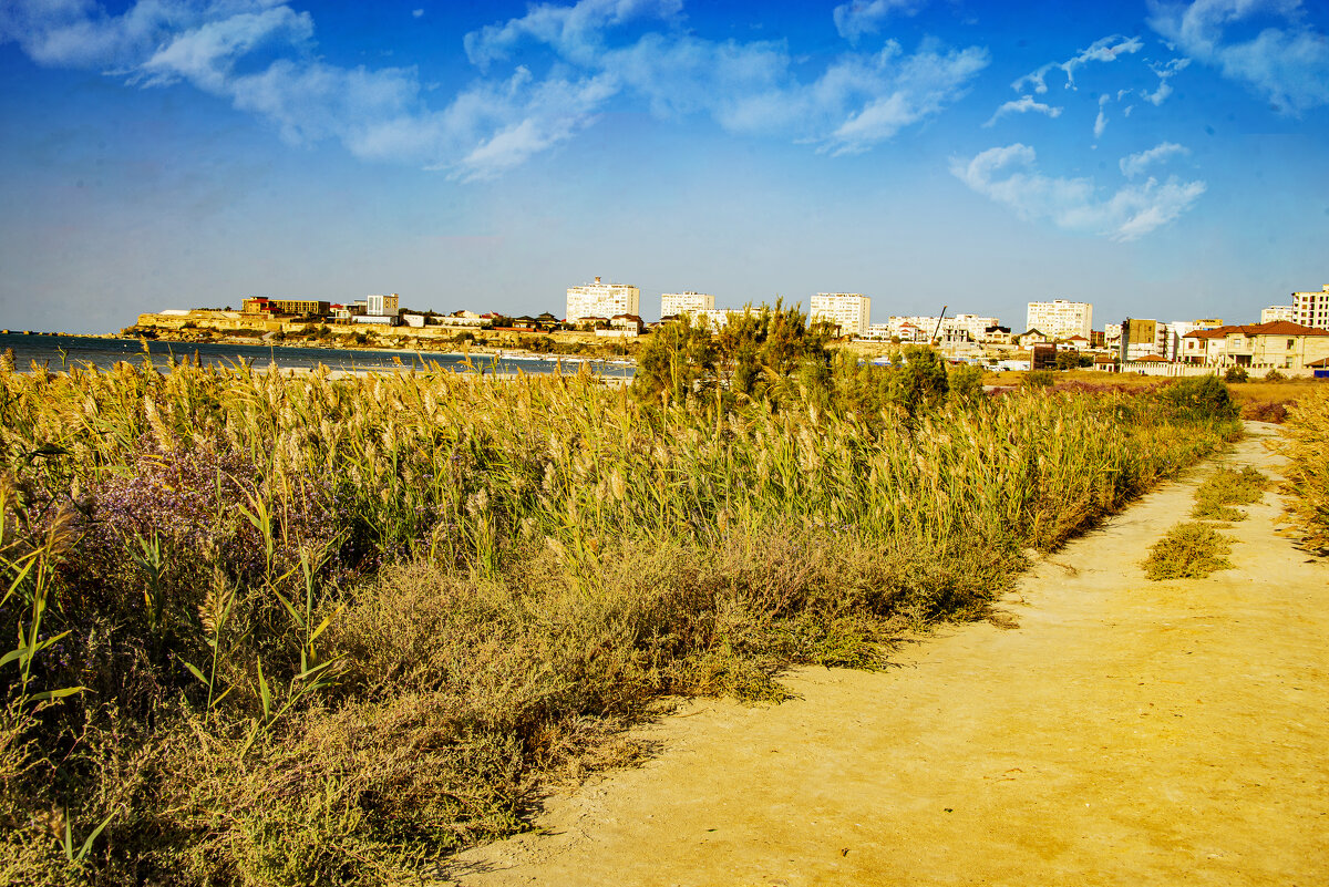 Актау прибрежный - Анатолий Чикчирный