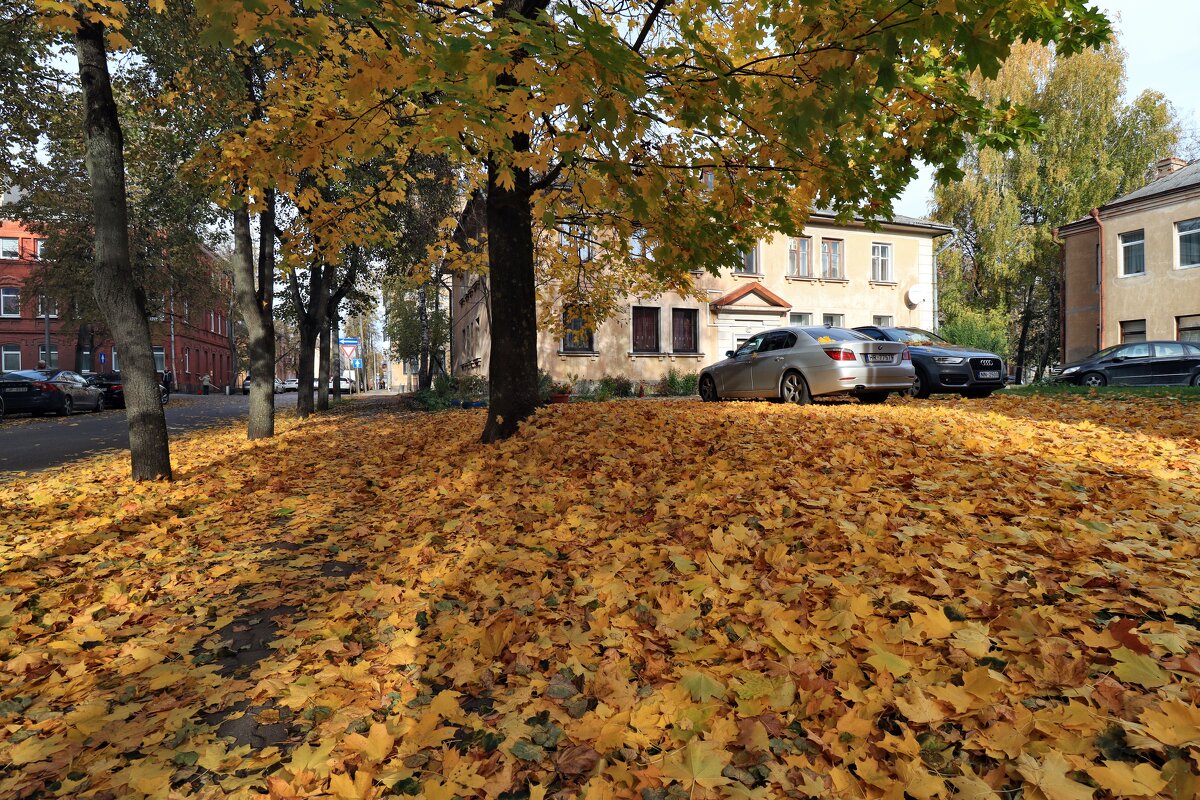 На улице города. - Николай 