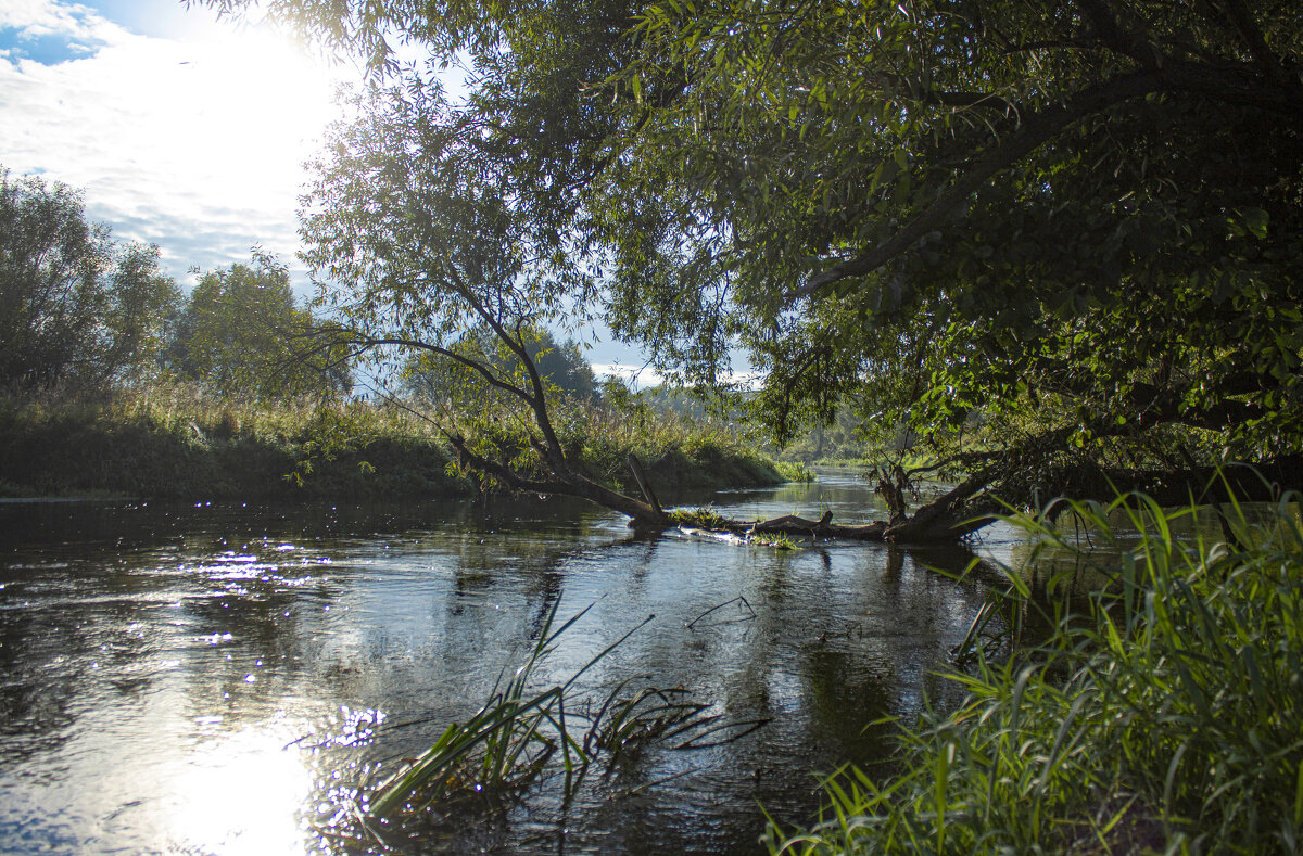 Река Дон. - Александр Река Дон. - Александр