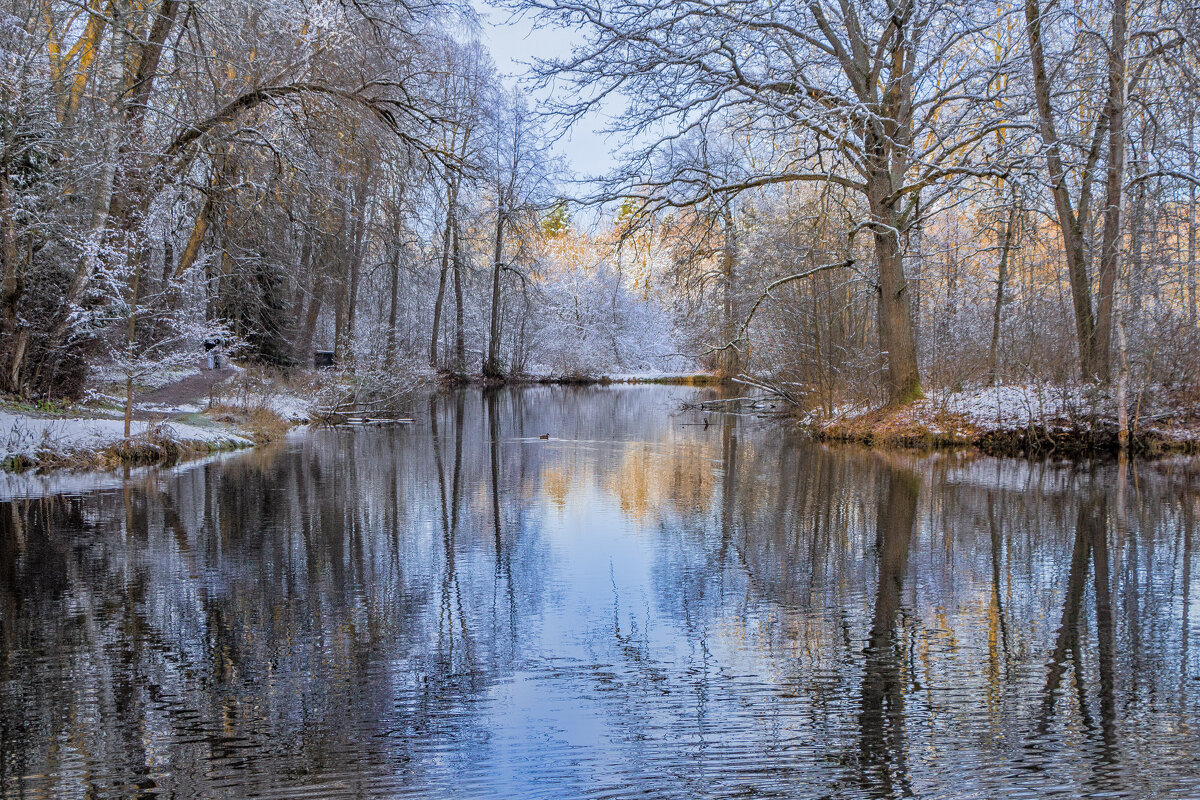 Поздняя осень - Тамара Вебер