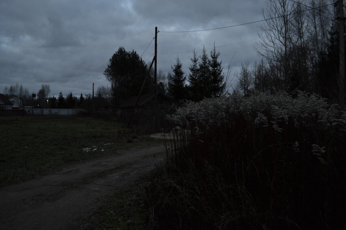 Серые будни - SirSatorik 