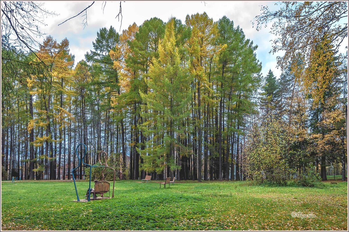 В осеннем парке. - Aquarius - Сергей