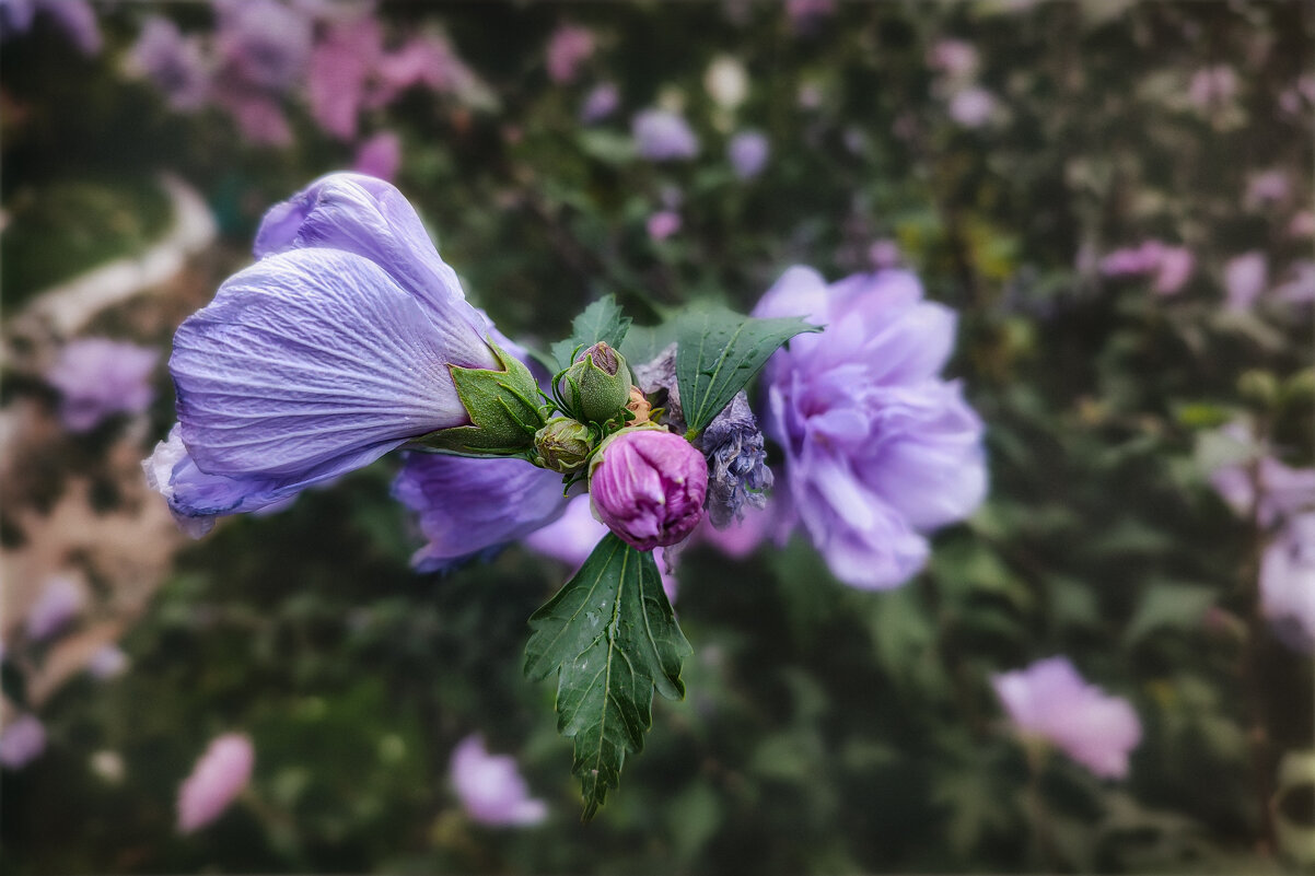 * - AZ east3 * - AZ east3