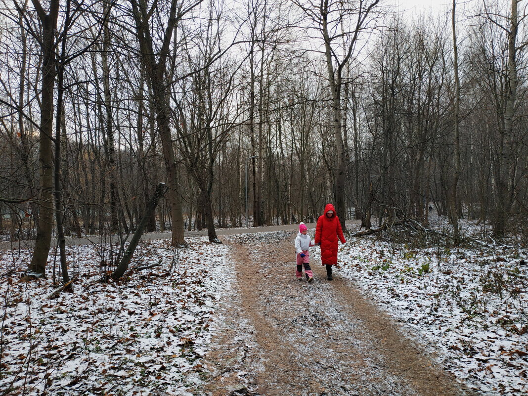 19 ноября в последние 5 лет (2023) - Андрей Лукьянов