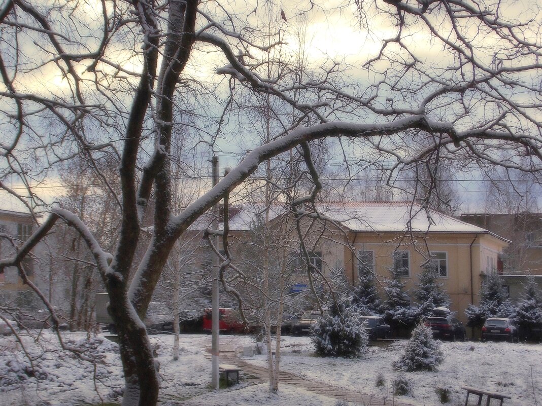 Первый снег, красивое  небо - Фотогруппа Весна