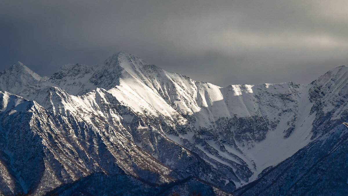 ... - Жора Житников