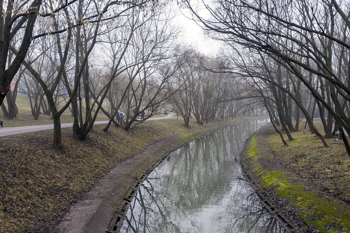Ноябрь в парке - Валерий Иванович