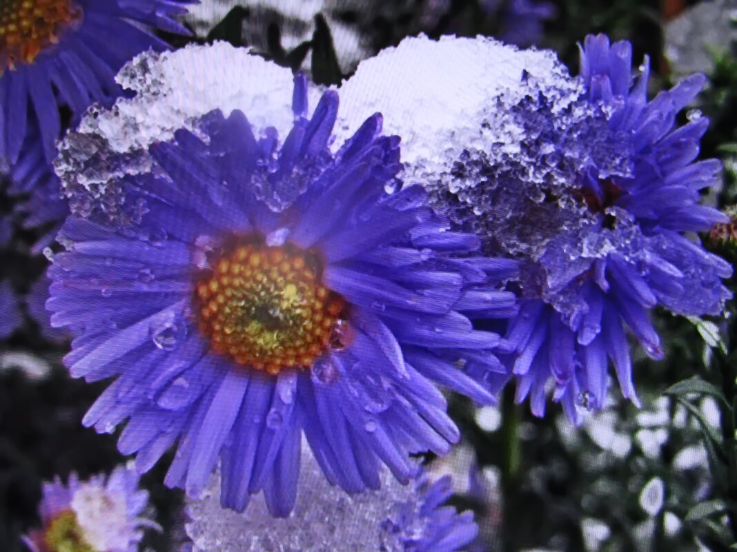 После снегопада - Людмила Смородинская