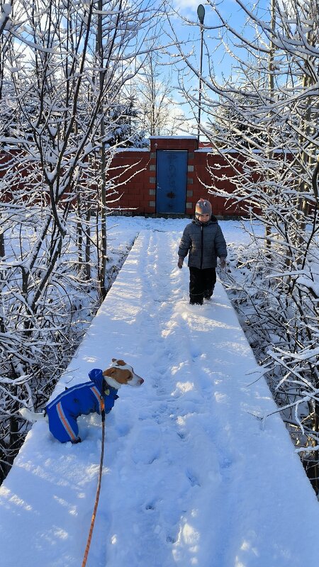 По первому снегу. - Ольга По первому снегу. - Ольга
