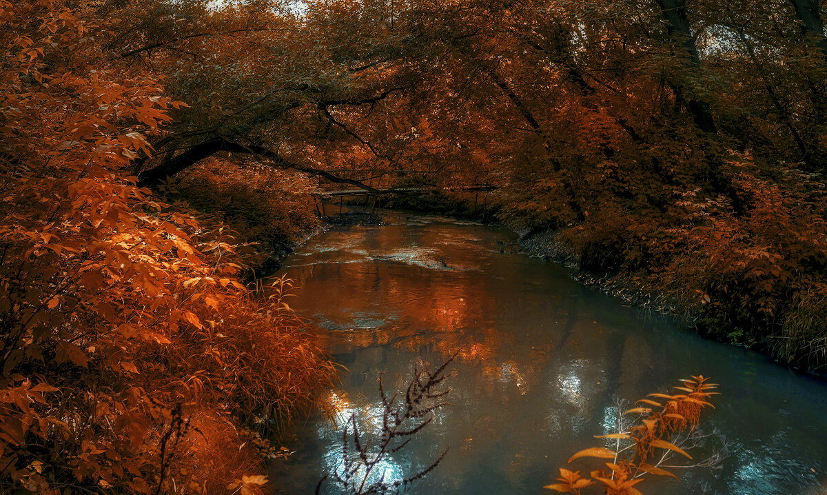 Мостик. - Владимир Владимир