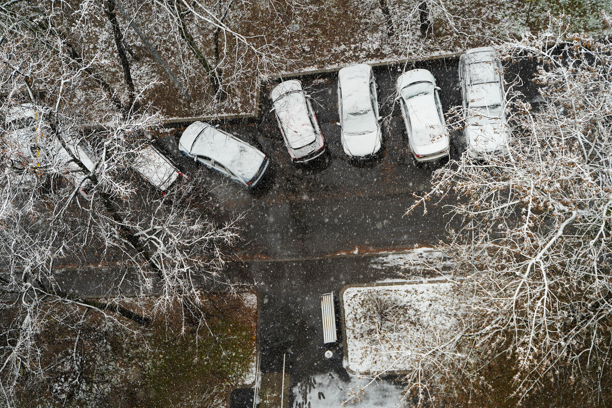 ЗАПАРОШЕНЫ - Сергей Янович Микк