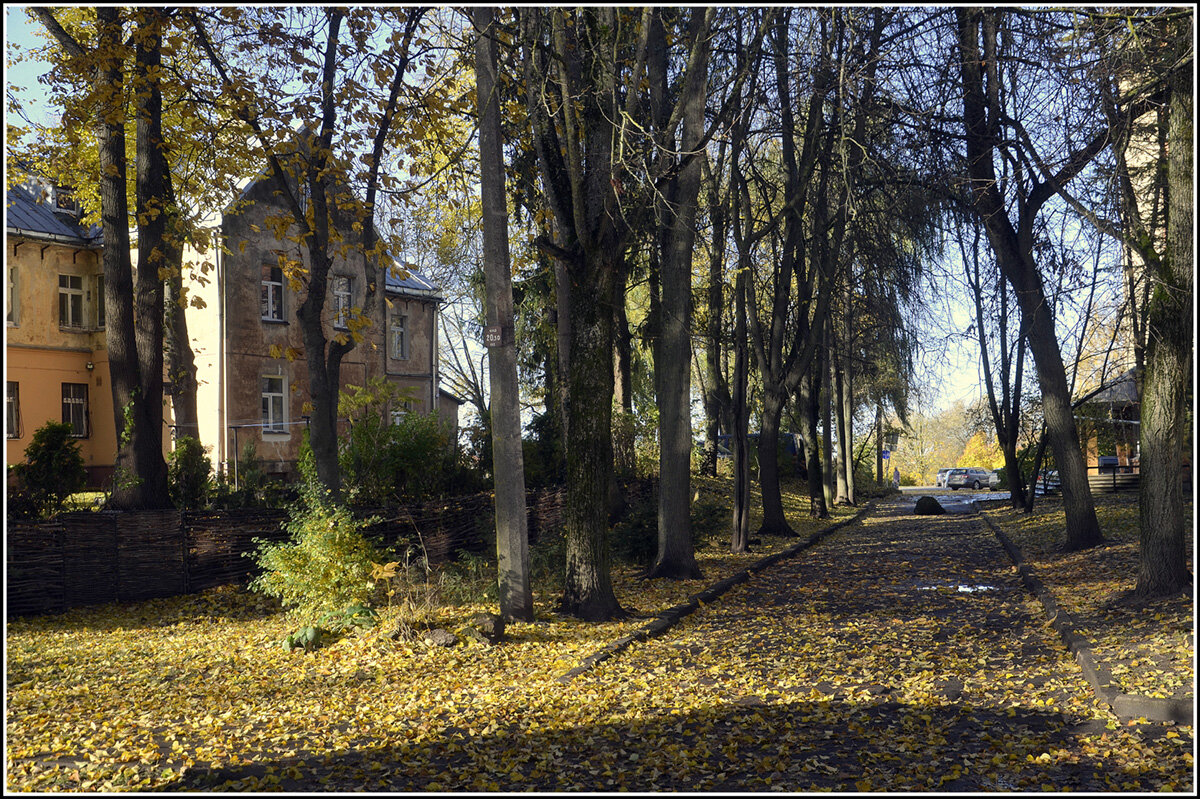 Листья желтые под ноги ложатся... - Aleksandr Gal