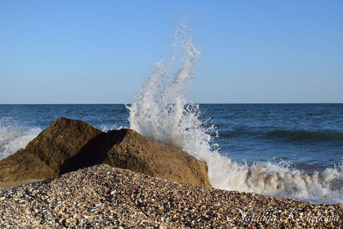 Природа Крыма - Amazing Cosmea Природа Крыма - Amazing Cosmea