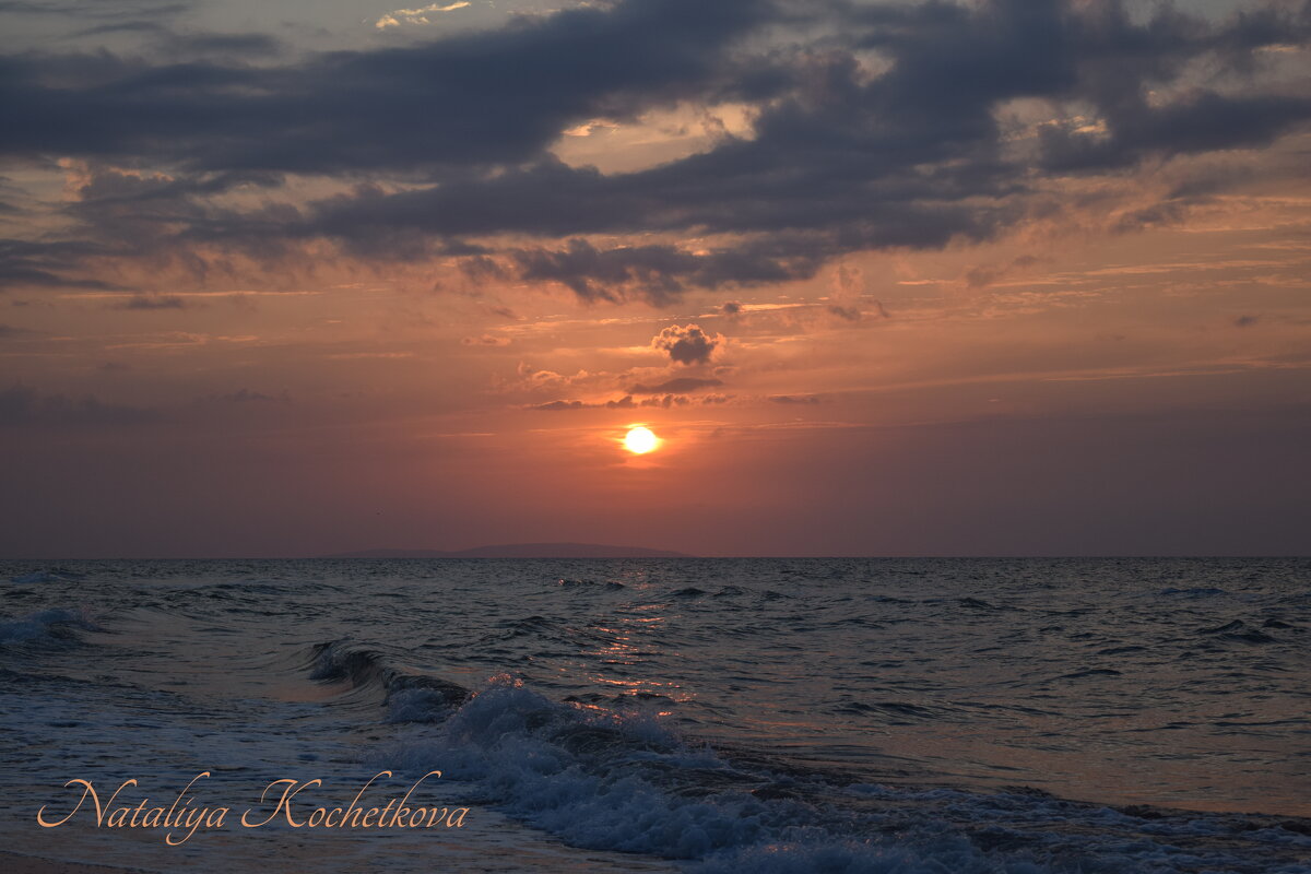 Природа Крыма - Amazing Cosmea