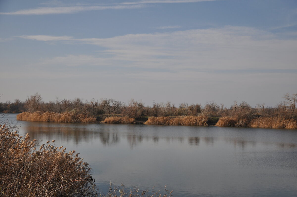 Вечерняя тишина. - Виктор 