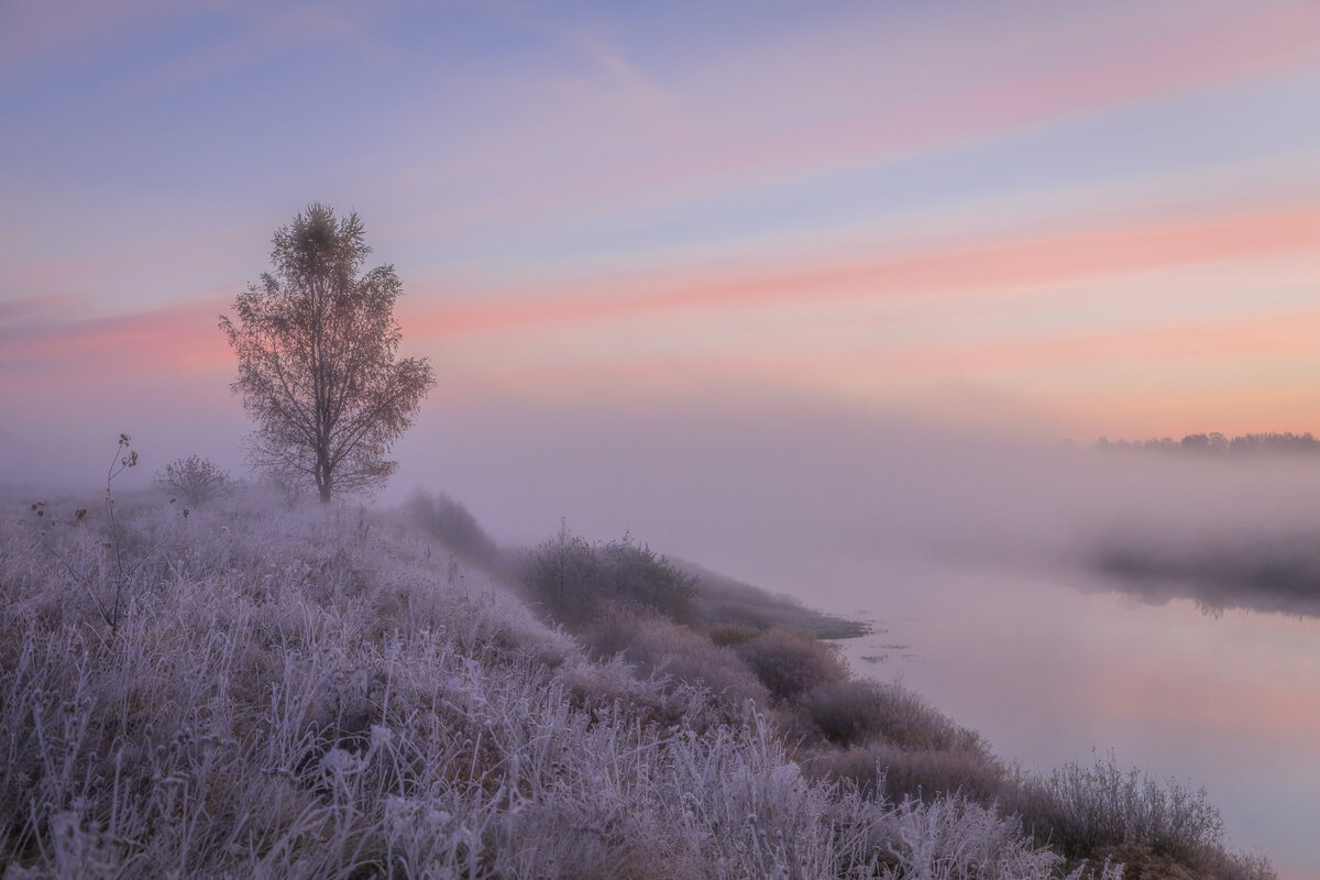 **** - Елизавета .