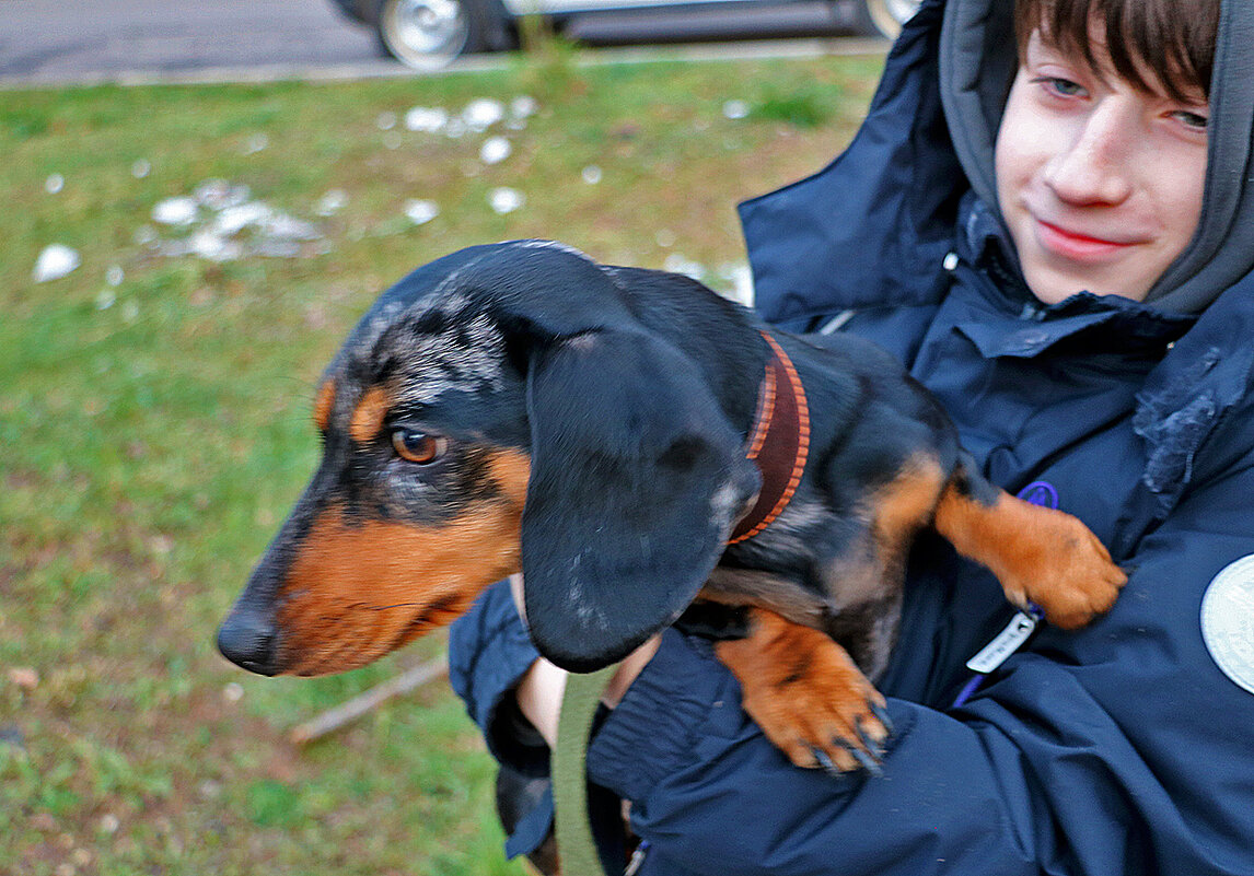 Верные друзья - Светлана 