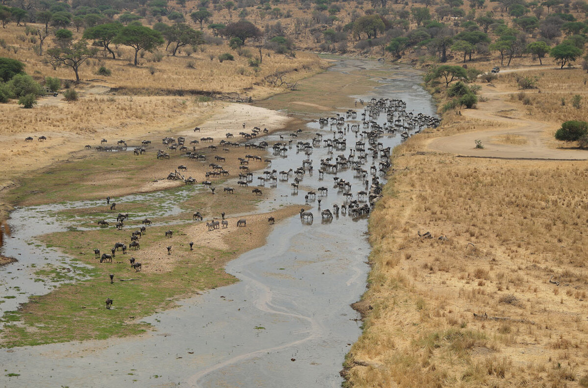 *** - Liliya *** - Liliya