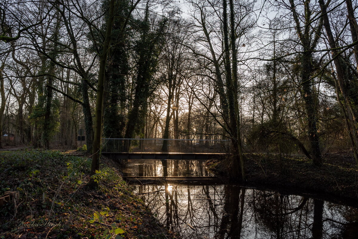 Солнце на мостике... - Николай Гирш