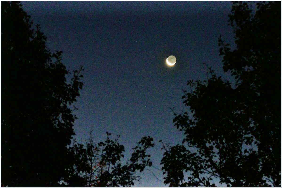 ЛУНА... - Elvira E. 